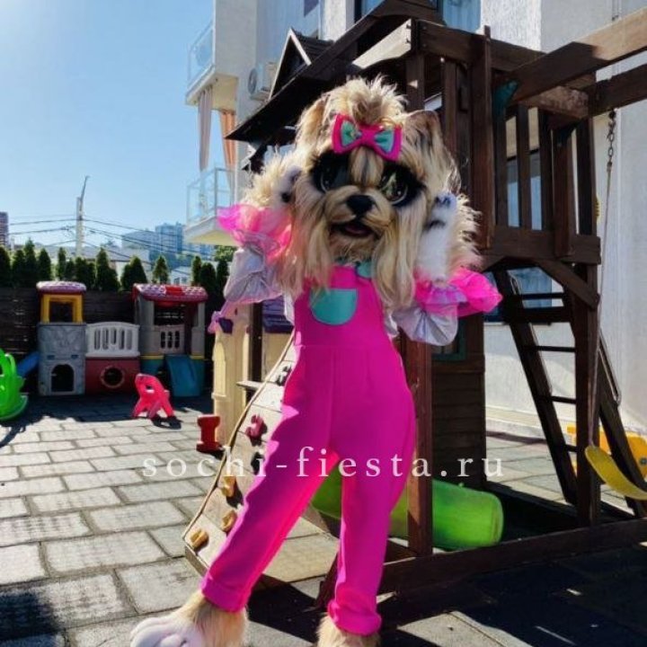 Аниматор Гламурная Собака в Якутске