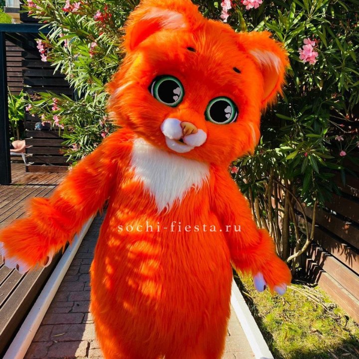 Аниматор Котик в Якутске