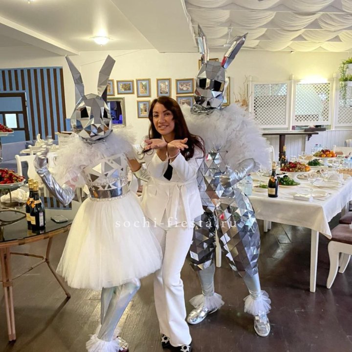 Аниматор Зеркальный заяц в Якутске