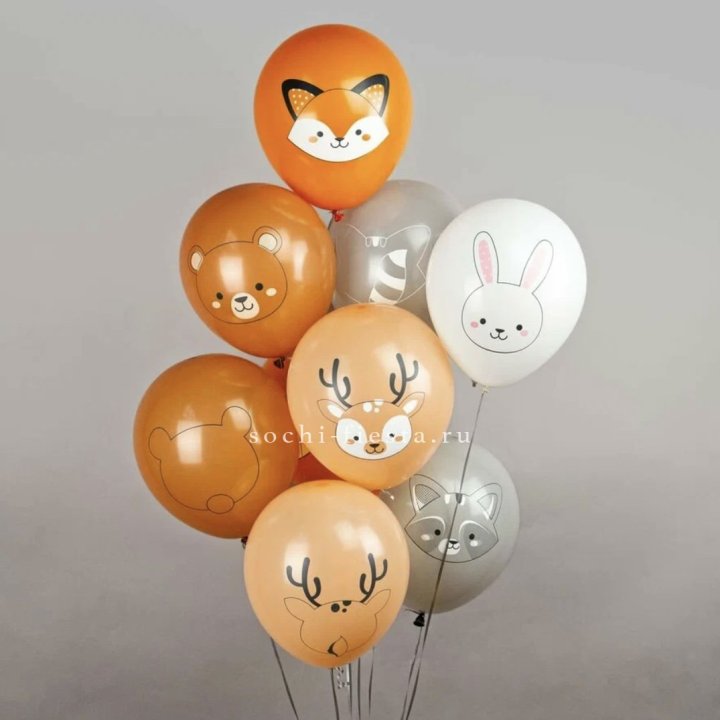 Воздушный шар "Животные" в Якутске