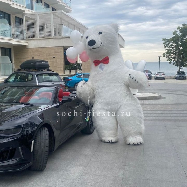 Аниматор Белый Медведь в Якутске