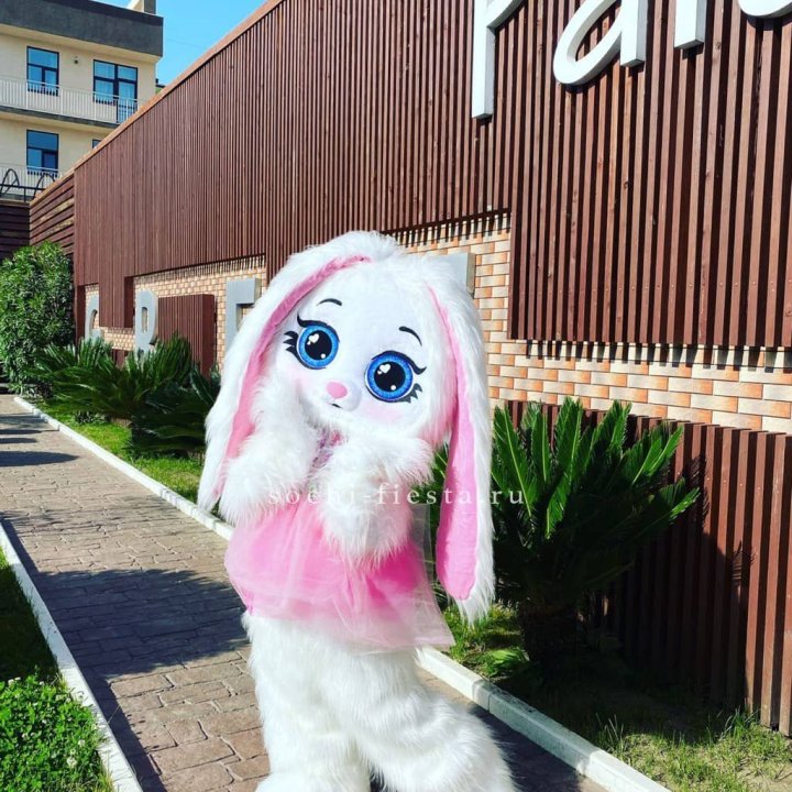 Аниматор Зайка в Якутске