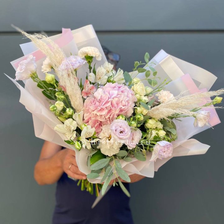 Гортензия "Пинк флоид" в Якутске