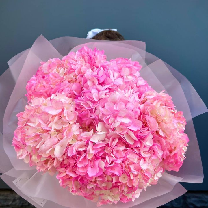 9 ярко розовых гортензий в Якутске