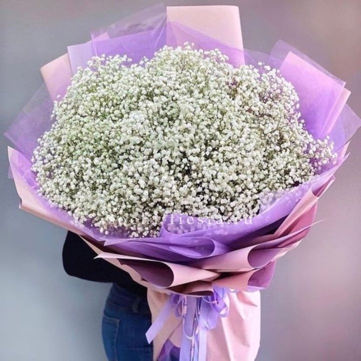 Облако белых гипсофил в Якутске