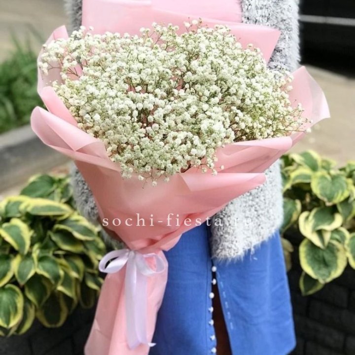 Белоснежные гипсофилы в Якутске