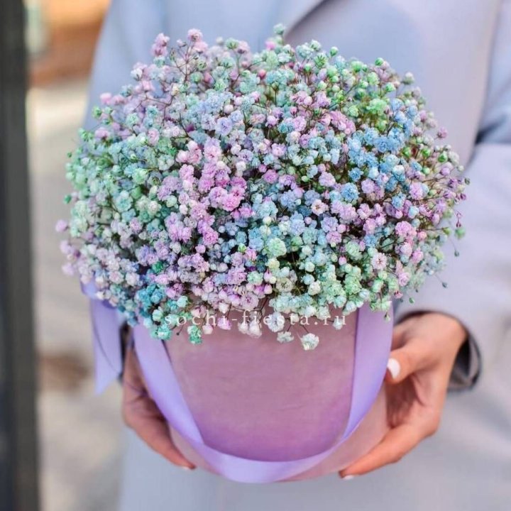 Гипсофилы в шляпной коробке "Кандилайт" в Якутске