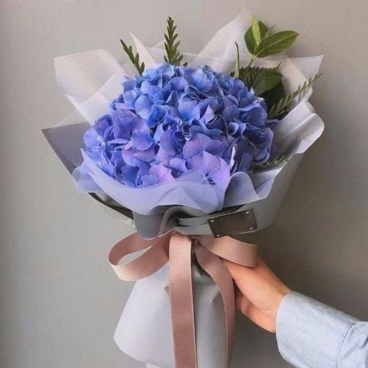 Гортензия голубая в Якутске