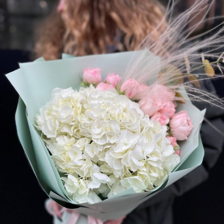 Гортензия "Жасмин" в Якутске