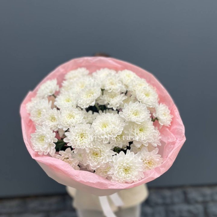  5 хризантем  в Якутске