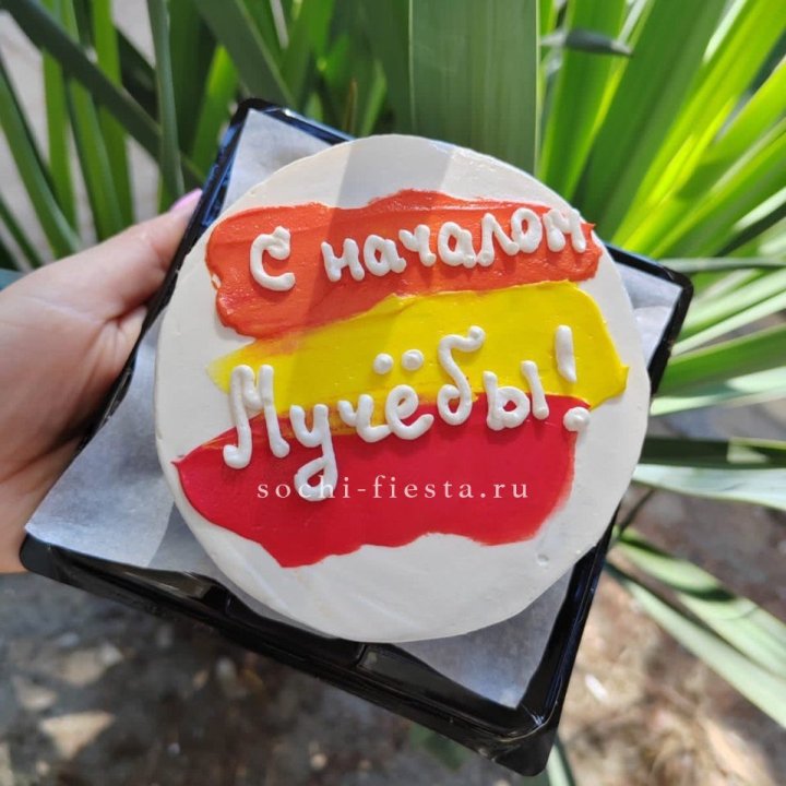 Бенто-торт "С началом учёбы"" в Якутске