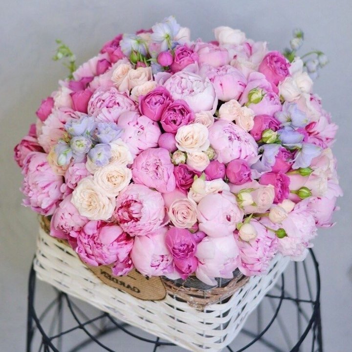 Композиция "Черри" в Якутске