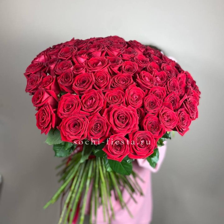 101  голландская роза  в Якутске