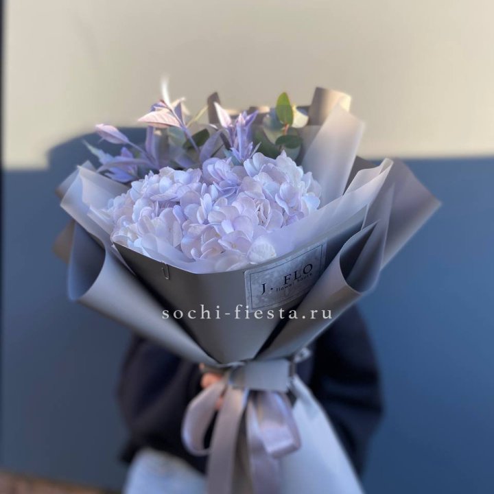 Гортензия "Виолета" в Якутске