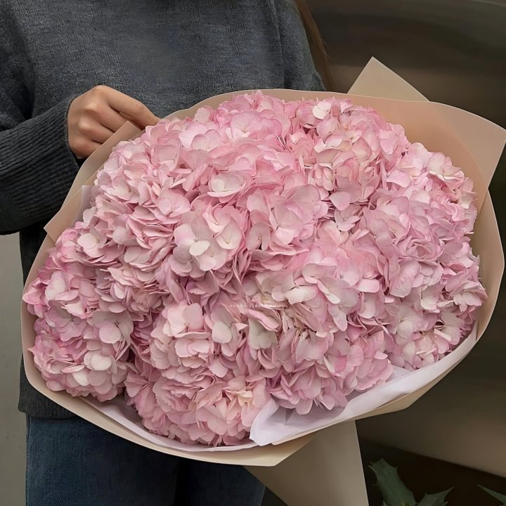 Гортензия  "РОЗЕ" в Якутске