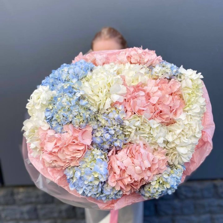 19 гортензий микс в Якутске