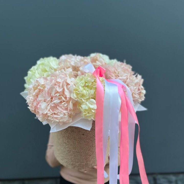 7 гортензий в кашпо в Якутске