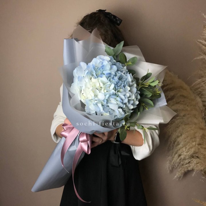 Гортензия Уно в Якутске