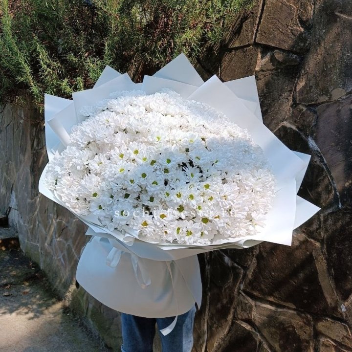 Облако хризантем №2 в Якутске