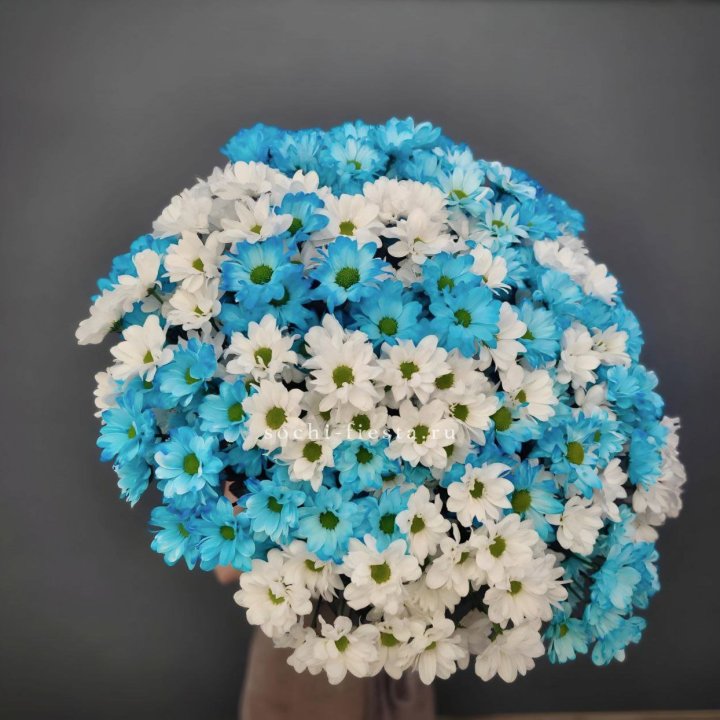  Букет хризантем микс в Якутске