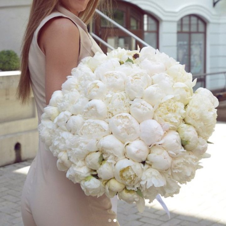 51 белый пион в Якутске