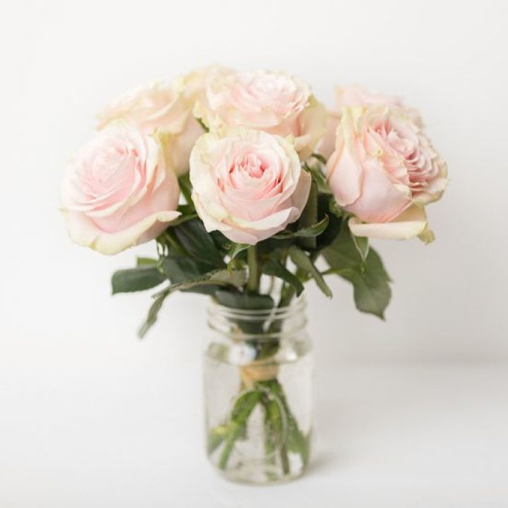 7 кремовых роз в Якутске