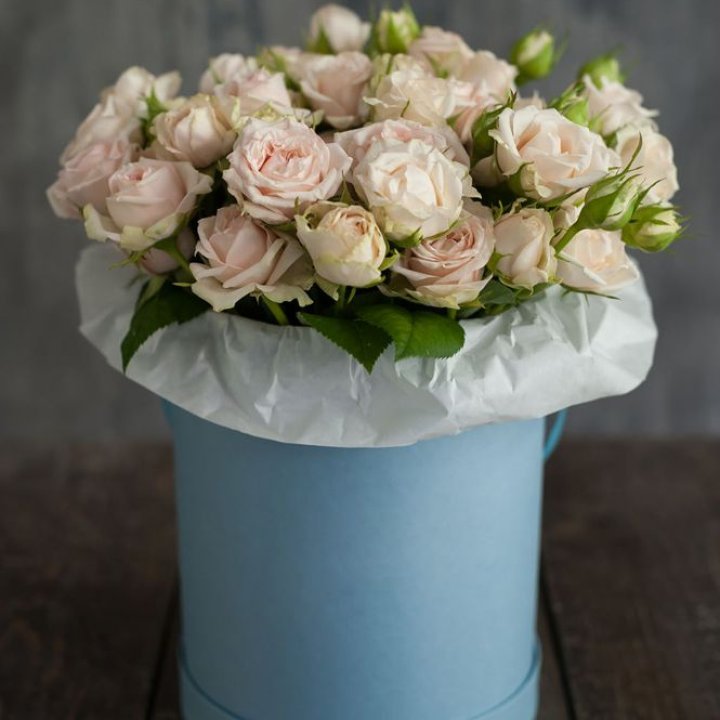 Бокс с бомбастиком в Якутске