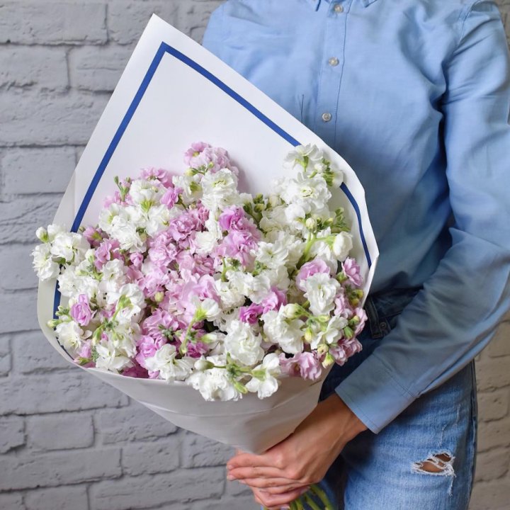 Маттиола в Якутске