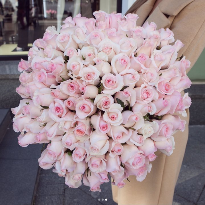 Розы "Пинк бум" в Якутске