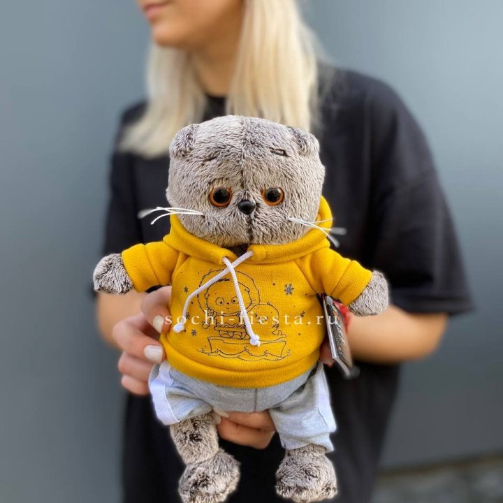 Кот Басик в худи в Якутске