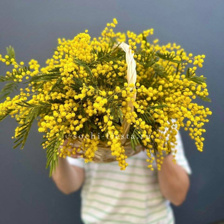 Весенняя корзина мимозы в Якутске