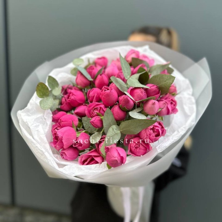 17 Мисти бабблс в Якутске