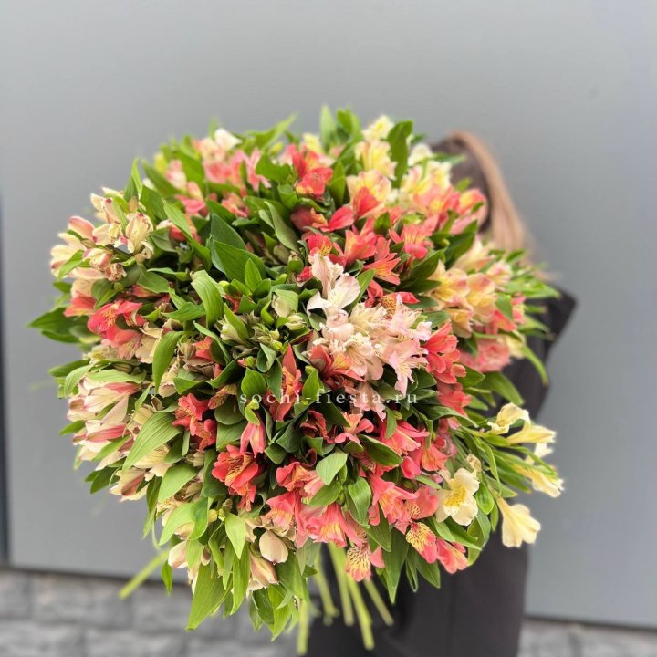 51 альстромерия в Якутске