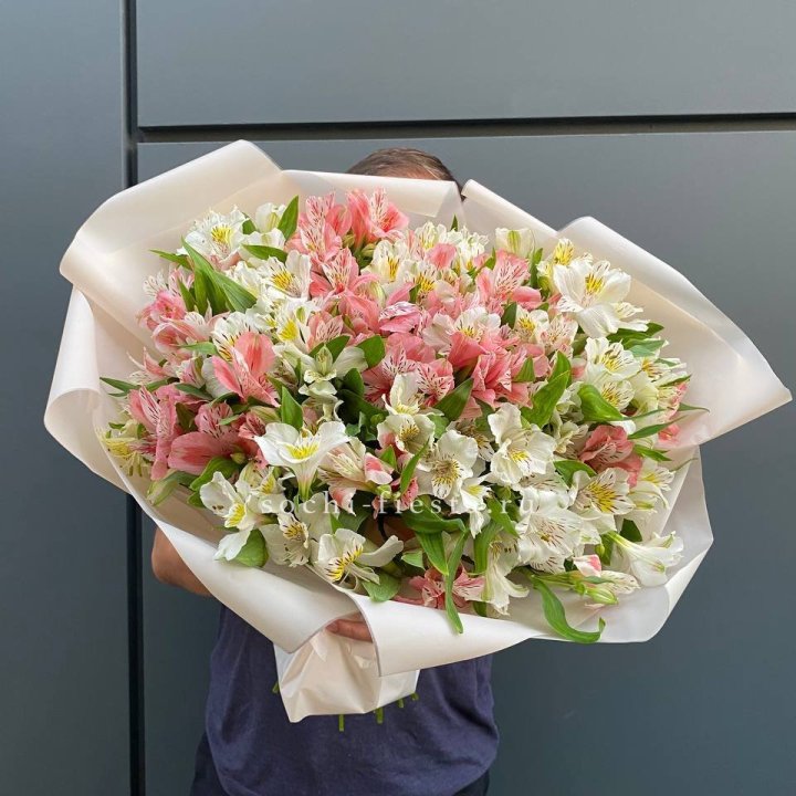 39 альстромерий в Якутске