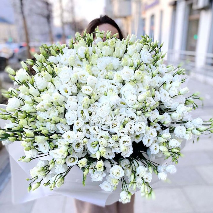 101 белая эустома в Якутске