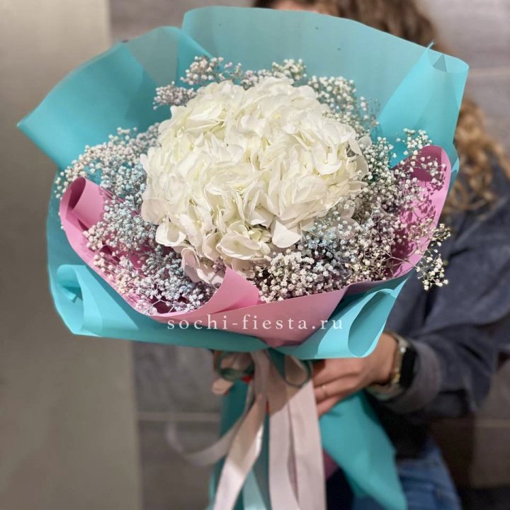 Гортензия "Райдов" в Якутске