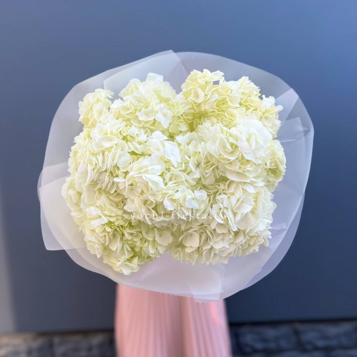 7 белых гортензий в Якутске