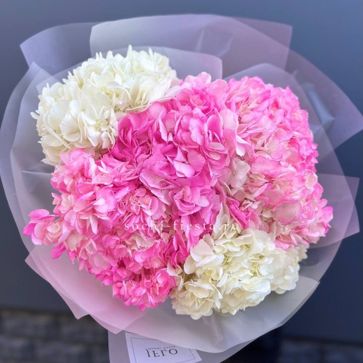 5 бело-розовых гортензий в Якутске