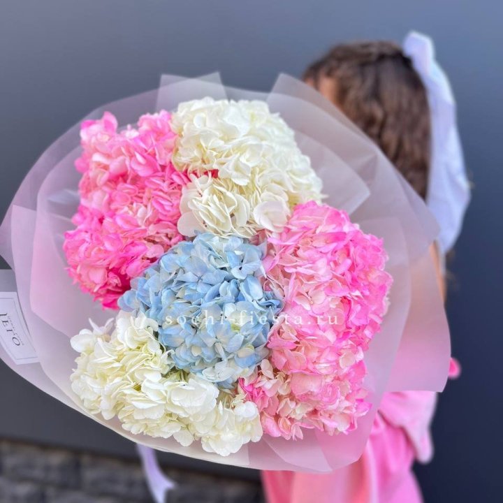7 гортензий микс в Якутске