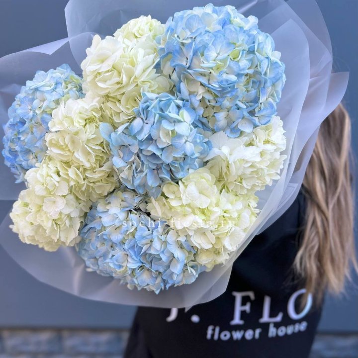 9 бело-голубых гортензий в Якутске
