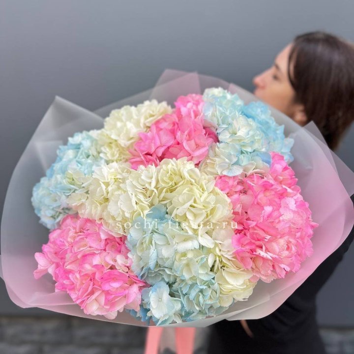 9 гортензий микс в Якутске