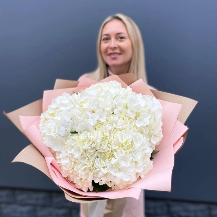 Гортензия белая в Якутске