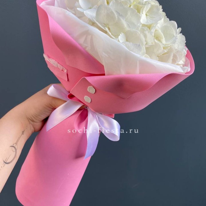 Гортензия в розовом пиджаке в Якутске