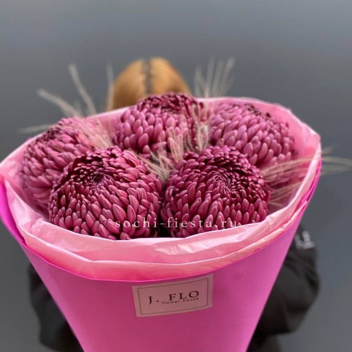 Хризантемы  Бигуди с стифой в Якутске