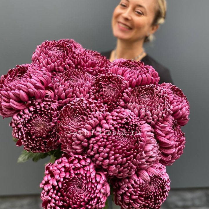 Охапка хризантем Бигуди в Якутске