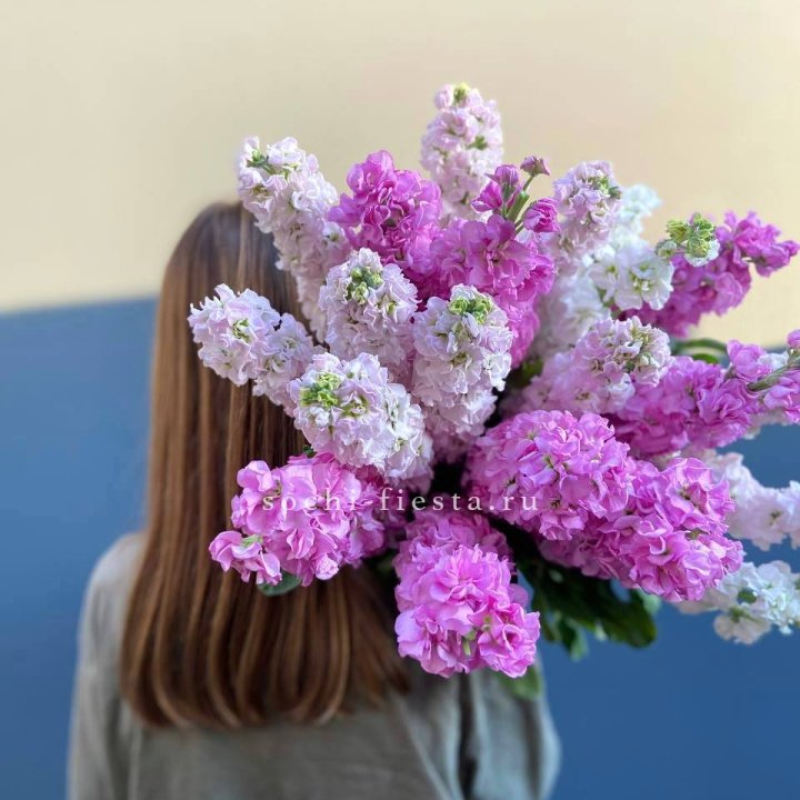 Охапка маттиолы в Якутске