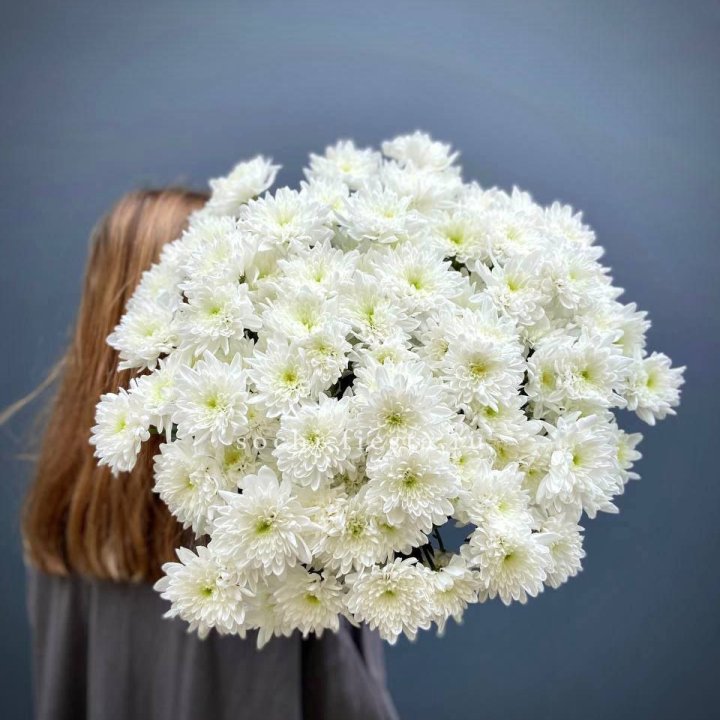 Охапка Хризантемы кустовой в Якутске