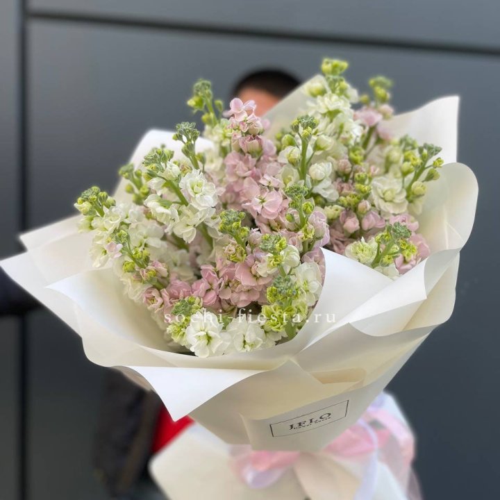 29 маттиол  в Якутске