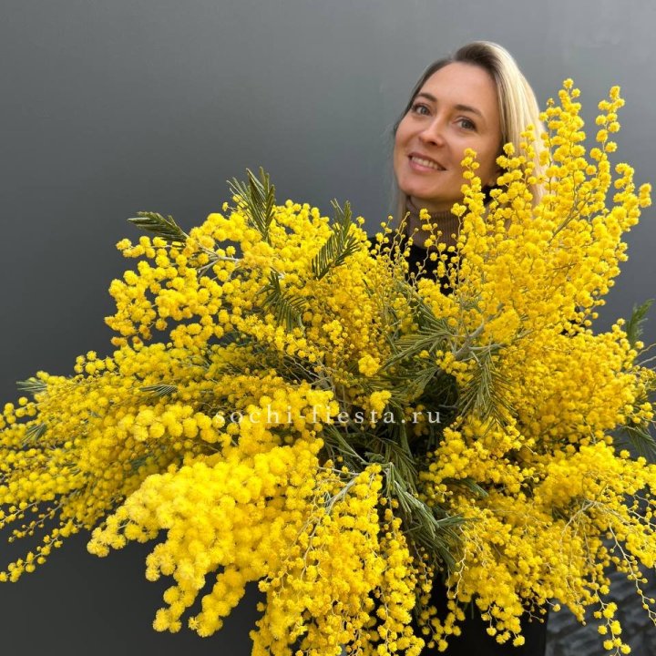 Охапка мимозы №2 в Якутске