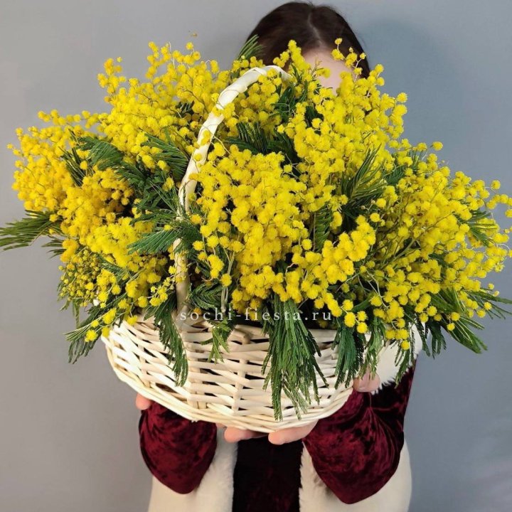 Корзина ароматной мимозы в Якутске